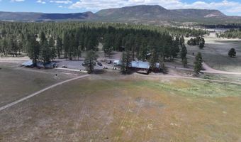 58 County Road N2122, Alpine, AZ 85920