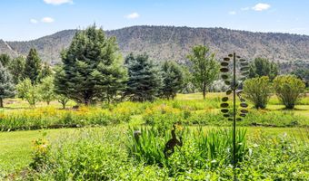 283 MEADOW Ln, Glenwood Springs, CO 81601