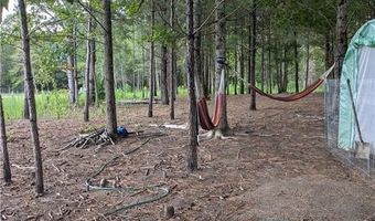 0 Lee Road 393, Auburn, AL 36832