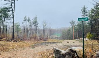 37 Alpine Dr, Porter, ME 04068