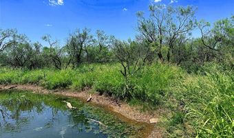 TBD WEST TRACT County Road 356, Anson, TX 79501