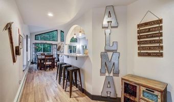 1095 Quartzville Rd, Alma, CO 80440