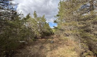 5280 Cathro Rd, Alpena, MI 49707