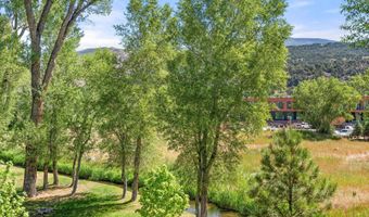 103 Willits Way 201, Basalt, CO 81621