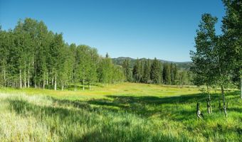 1833 W Buttermilk Rd, Aspen, CO 81611