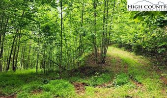 Tbd Teaster Valley Lane, Banner Elk, NC 28604