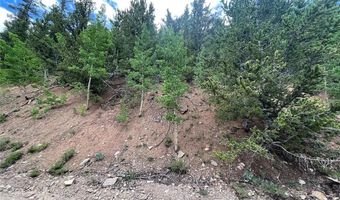 847 COUNTY ROAD 787, Alma, CO 80420