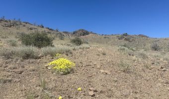 930 Cavelti Rd, Gardnerville, NV 89410