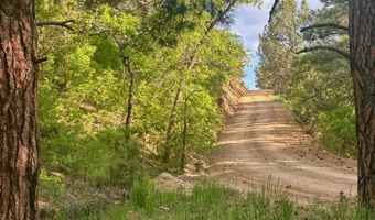 Tract B 266 Gallina Canyon Road, Valdez, NM 87580