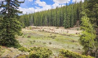 700 Looney Ln Lot 0, Alma, CO 80420