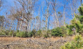1 Gaylors Br 1, Balsam Grove, NC 28708