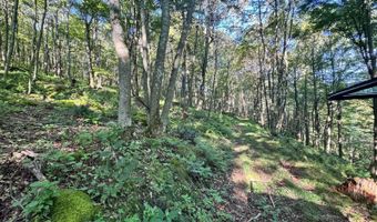 0 Pullim Hollow Rd, Addison, PA 15411
