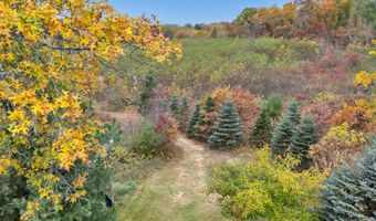 4006 ELKINS Rd, Amherst, WI 54406