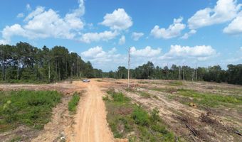 SE Cole Drive, Bogue Chitto, MS 39629