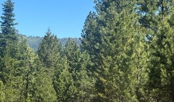 Saddle Rock Drive lot 19, Cascade, ID 83611