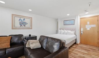 535 S Park Ave 224, Breckenridge, CO 80424