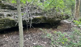Co Rd 304, Ava, MO 65608