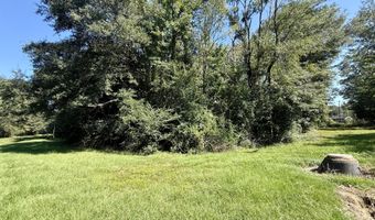 Tbd Williams, Brookhaven, MS 39601