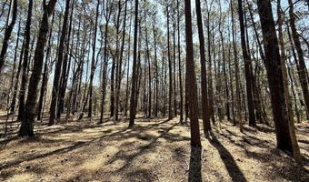 0 Lot 2 Creek Place Rd, Arapahoe, NC 28510
