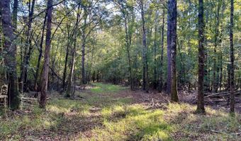 0 Lloyd Mill Rd, Andalusia, AL 36421