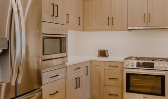 220 E LEWIS Ln, Basalt, CO 81621