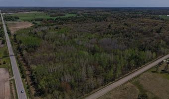 80 X Henry St, Alger, MI 48610