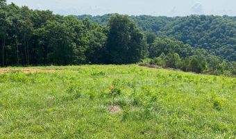 H O Allison lot 11, Baxter, TN 38544