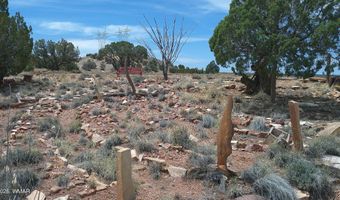 98 N9222, Concho, AZ 85924