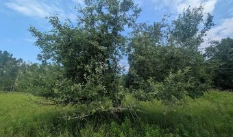 W Long Lake Road, Alpena, MI 49707
