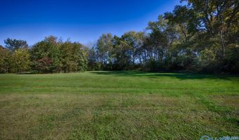 167 Henry Bayless Rd, Ardmore, TN 38449