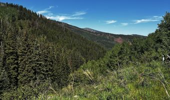 2601 Midnight Mine Road Rd, Aspen, CO 81611