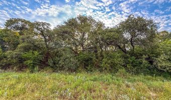 225 County Road 1475, Alvord, TX 76225