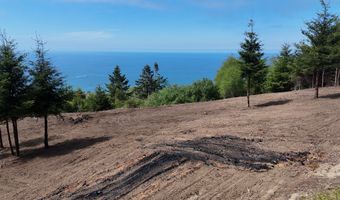 McVay Creek Rd TL310, Brookings, OR 97415