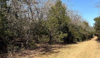 TBD Wolf Hollow Road, Ash Flat, AR 72513