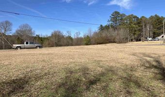 0 WILSON CHAPEL Rd Tract 4, Altoona, AL 35952