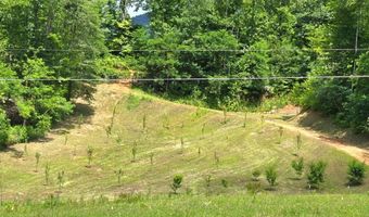 21804 US Hwy 19, Andrews, NC 28901
