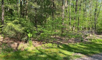 99 ACRE ROCK Ldg, Accident, MD 21520