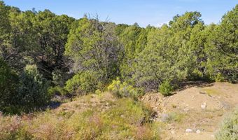 11 Camino De Adelaida Los Pinos Park, Arroyo Seco, NM 87514