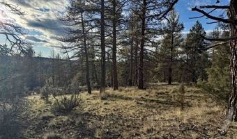 Canvasback, Bonanza, OR 97623