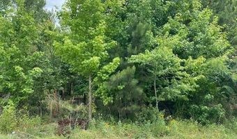 Lot 1-A Daniels Lane, Bennettsville, SC 29512