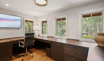 971 Ute Ave, Aspen, CO 81611