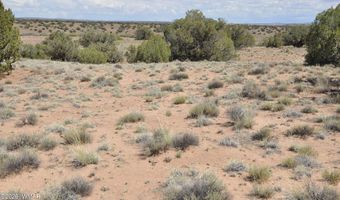 19 C & D County Rd N9033, Concho, AZ 85924
