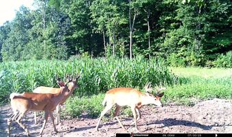 6305 W US Highway 223, Adrian, MI 49221