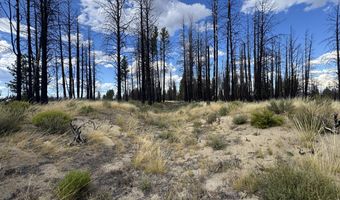 Shasta Fir Lane 9, Beatty, OR 97621