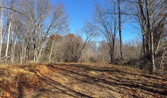 0 W Captina Highway Rd, Alledonia, OH 43902