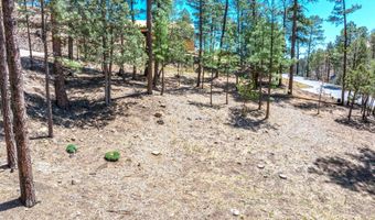 223 Lake Shore Dr Lot 1, Alto, NM 88312