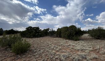 291 County Rd 8052, Concho, AZ 85924