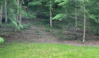 00 Collett Woods Trl 4-20, Andrews, NC 28901