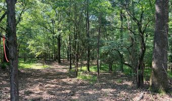 Springwood Trail, Flora, MS 39071