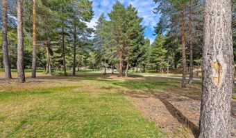310 Rocky Woods Ln, Bigfork, MT 59911